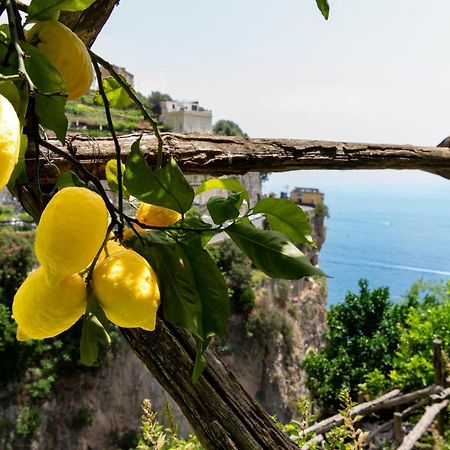 Hotel La Pergola Амальфи Экстерьер фото